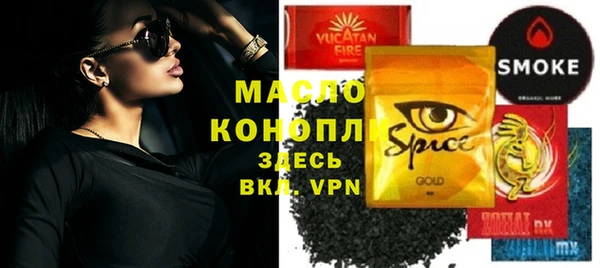 индика Богородицк