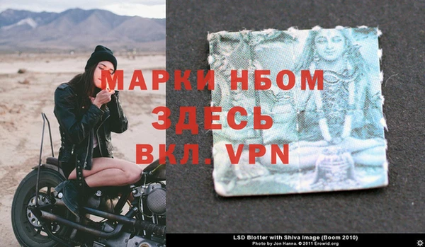 PSILOCYBIN Верея