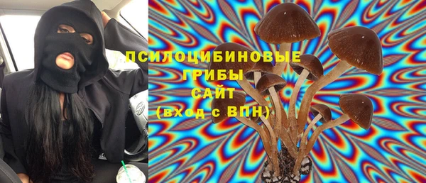 PSILOCYBIN Верея